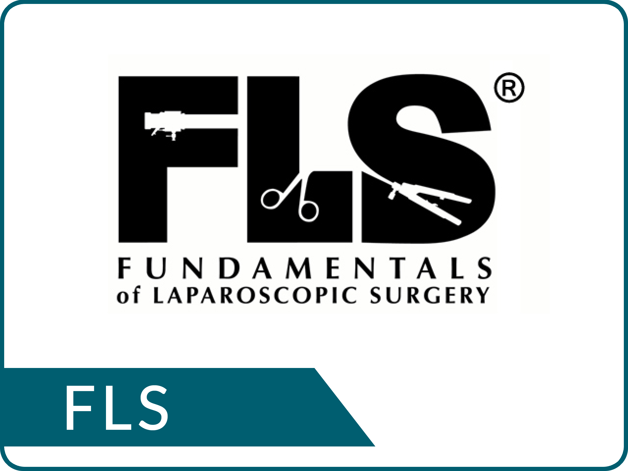 FUNDAMENTALS OF LAPAROSCOPIC SURGERY (FLS)