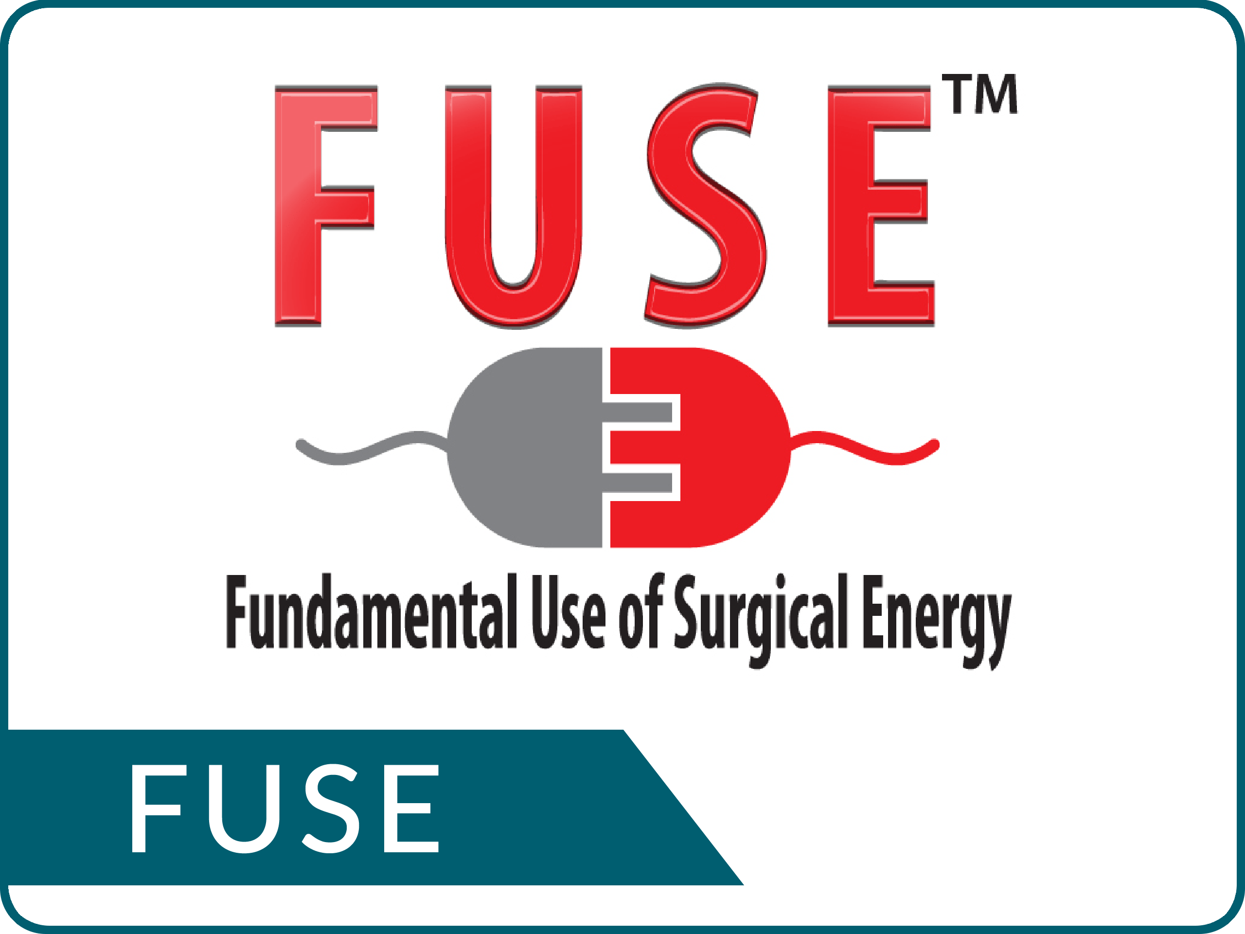 FUNDAMENTAL USE OF SURGICAL ENERGY (FUSE)